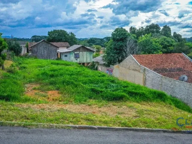 Terreno à venda, no bairro Jardim das Palmeiras em Campo Largo