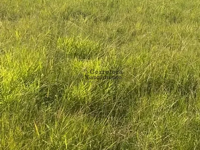 Terreno com 300m², à venda, no bairro Jardim Santa Maria em Jacareí