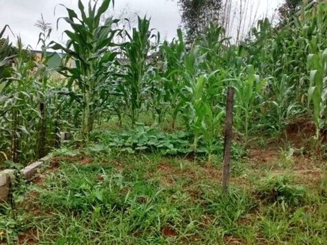 Foto do Terreno - Terreno à venda, 740 m² por R$ 182.000,00 - Santa Lúcia - São José dos Campos/SP | INDEPENDENCE NEGOCIOS IMOBILIARIOS LTDA