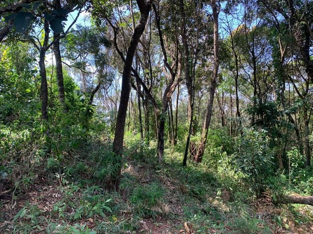 Terreno com 5000m², à venda, no bairro Jardim Rosa em Francisco Morato