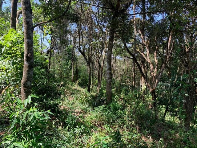 Terreno com 5000m², à venda, no bairro Jardim Rosa em Francisco Morato