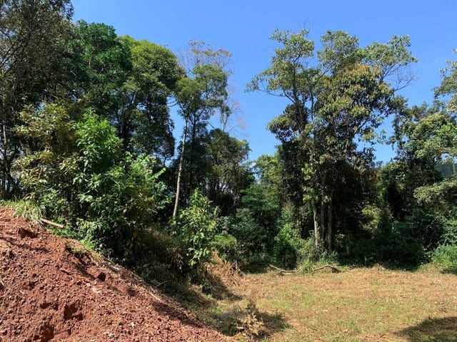 Terreno com 5000m², à venda, no bairro Jardim Rosa em Francisco Morato