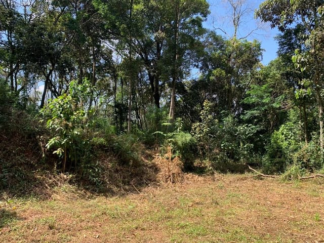 Terreno com 5000m², à venda, no bairro Jardim Rosa em Francisco Morato