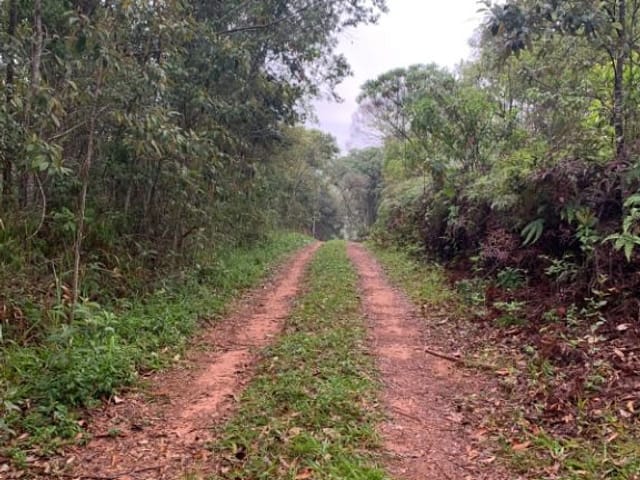 Terreno com 5000m², à venda, no bairro Jardim Rosa em Francisco Morato