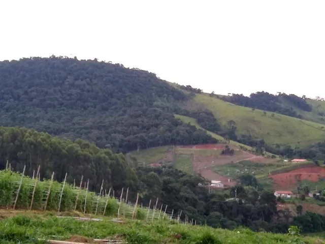 Terreno com 6200m², à venda, no bairro Bairro dos Afonso em Extrema