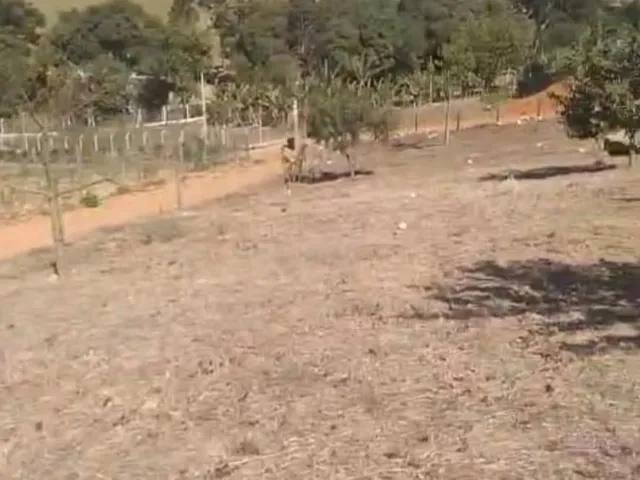 Terreno com 6200m², à venda, no bairro Bairro dos Afonso em Extrema