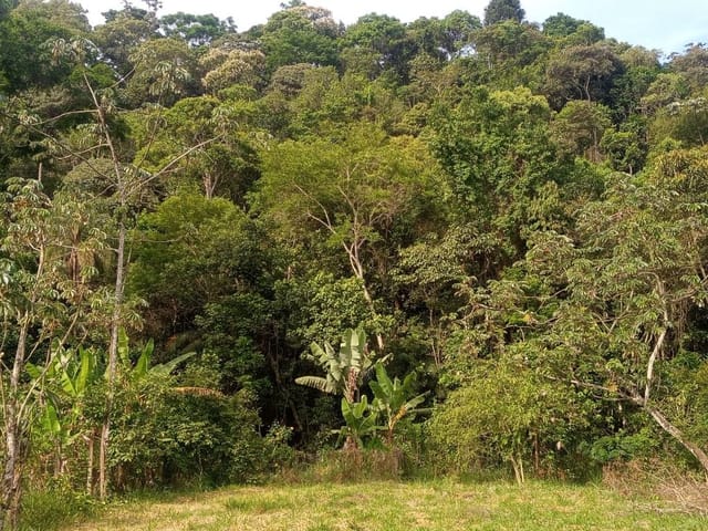 Foto do Terreno - Terreno à venda, 1250 m² por R$ 220.000,00 - Buquirinha II - São José dos Campos/SP | INDEPENDENCE NEGOCIOS IMOBILIARIOS LTDA