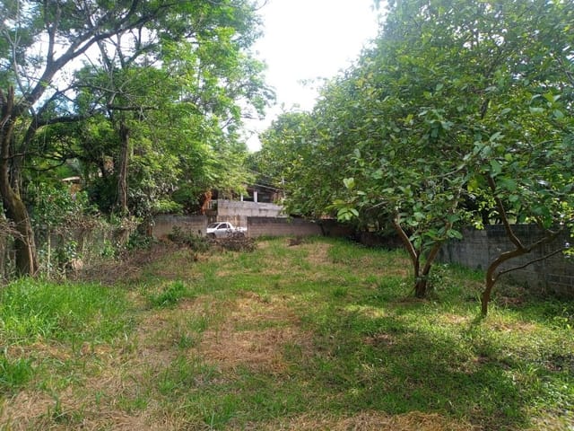 Foto do Terreno - Terreno à venda, 1250 m² por R$ 220.000,00 - Buquirinha II - São José dos Campos/SP | INDEPENDENCE NEGOCIOS IMOBILIARIOS LTDA