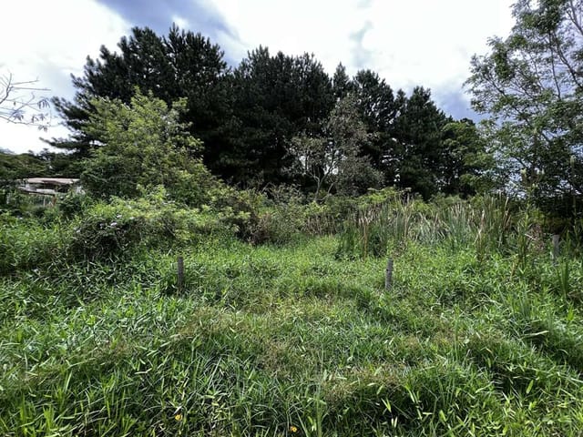 Terreno com 1420m², à venda, no bairro Chácara Santa Lúcia em Carapicuíba