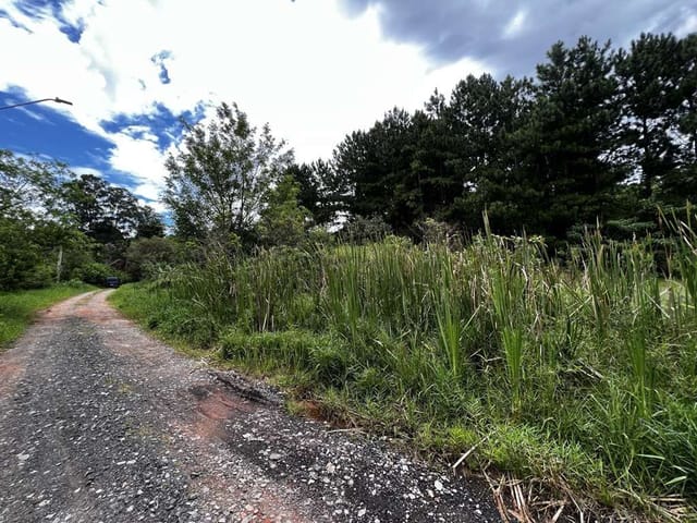 Terreno com 1420m², à venda, no bairro Chácara Santa Lúcia em Carapicuíba
