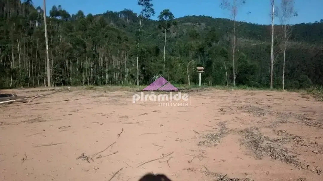 Terreno, 4 hectares - Foto 12