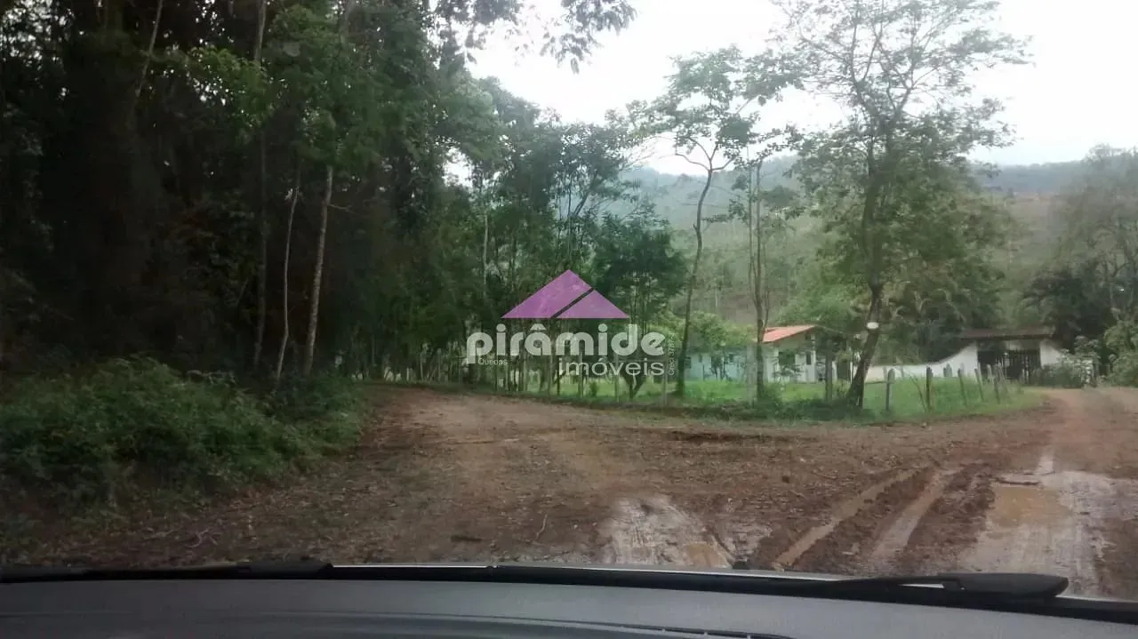 Terreno, 4 hectares - Foto 7