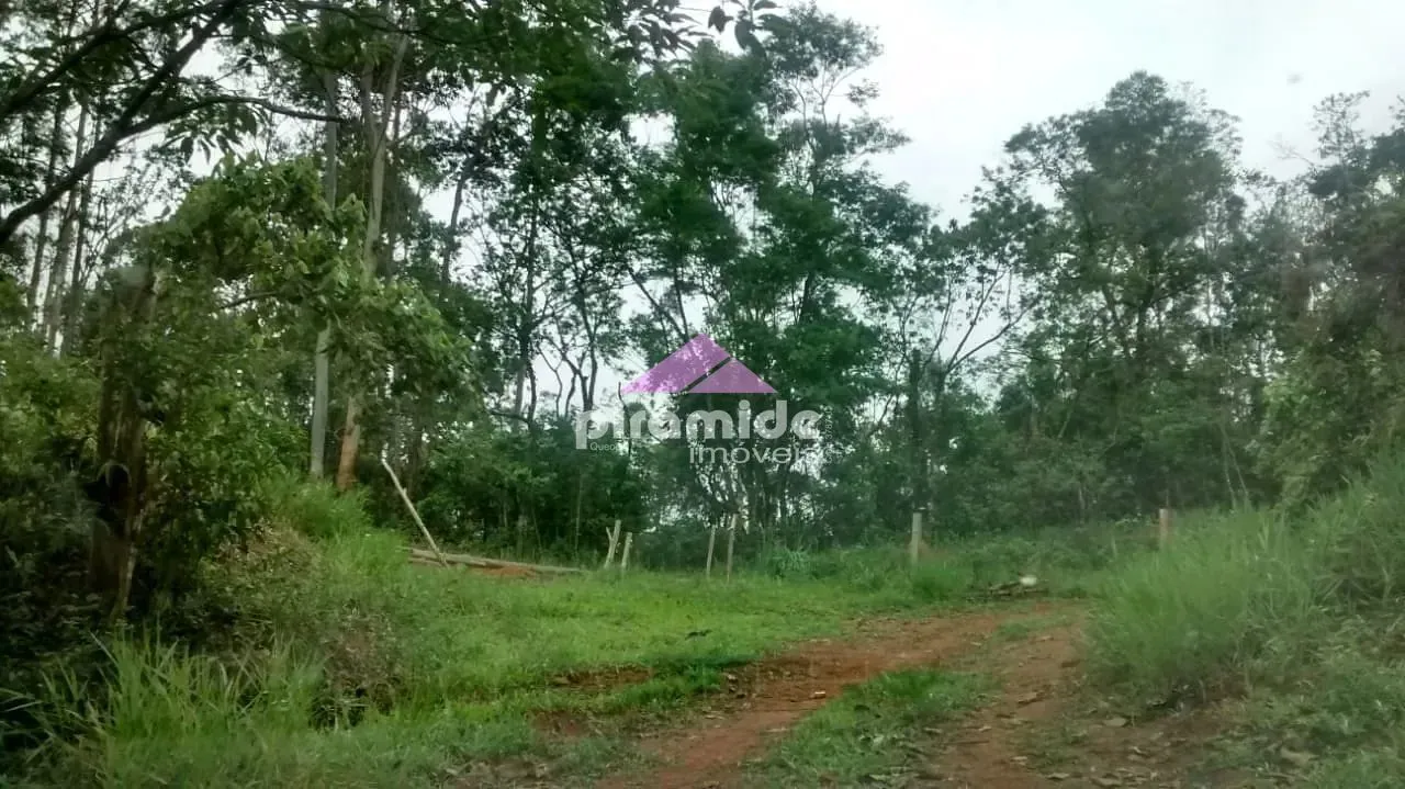 Terreno, 4 hectares - Foto 6