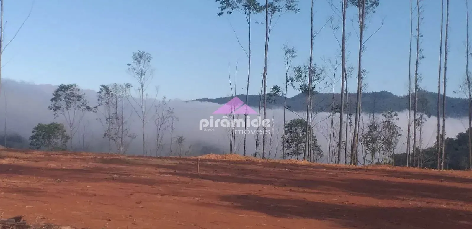 Terreno, 4 hectares - Foto 4