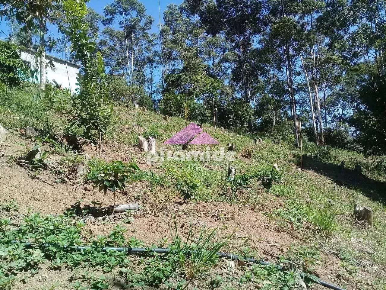 Terreno, 4 hectares - Foto 9