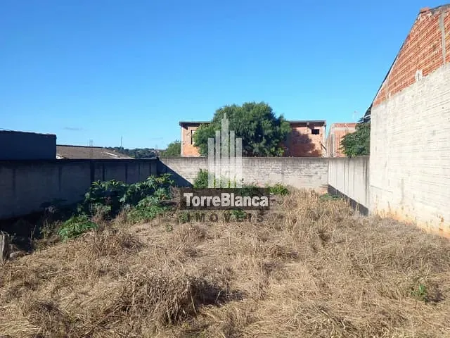 Terreno com 360m², à venda, no bairro Oficinas em Ponta Grossa