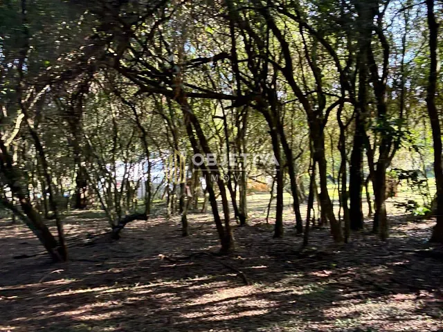 Terreno com 2553m², à venda, no bairro Sagrada Família em Gravataí