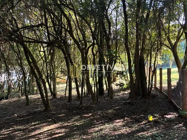 Terreno com 2553m², à venda, no bairro Sagrada Família em Gravataí