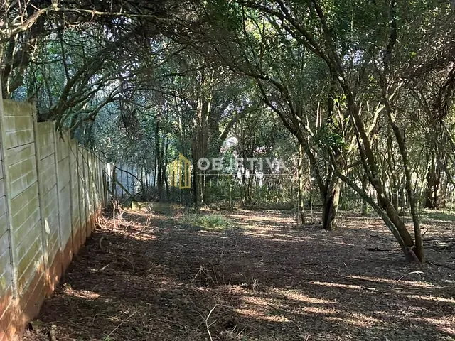 Terreno com 2553m², à venda, no bairro Sagrada Família em Gravataí