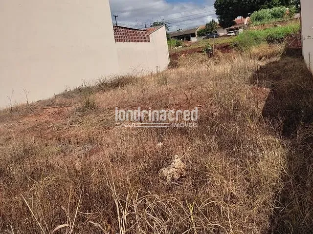 Terreno com 250m², à venda, no bairro Gleba Simon Frazer em Londrina