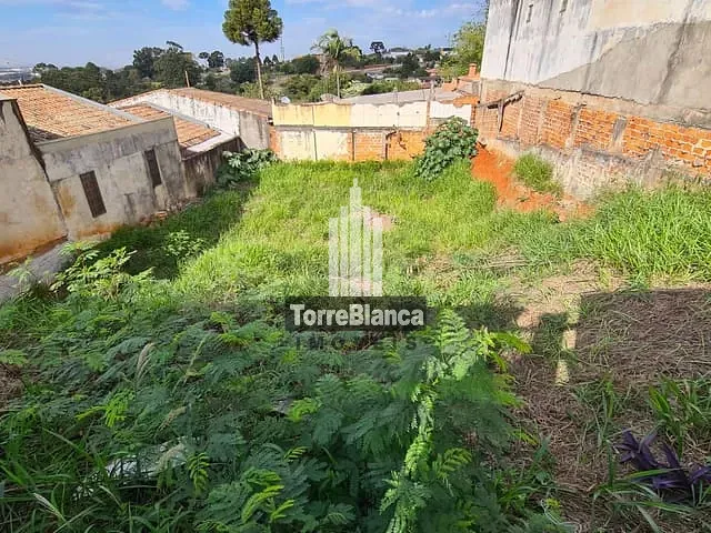 Terreno com 249m², à venda, no bairro Oficinas em Ponta Grossa