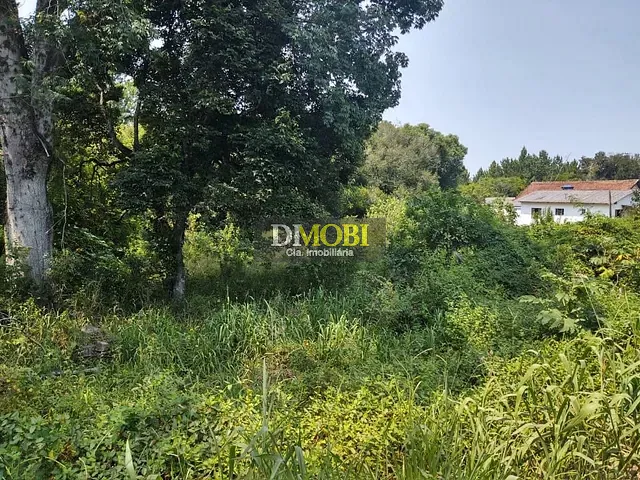 Terreno com 804m², à venda, no bairro Loteamento Rural Palermo em São Francisco de Paula