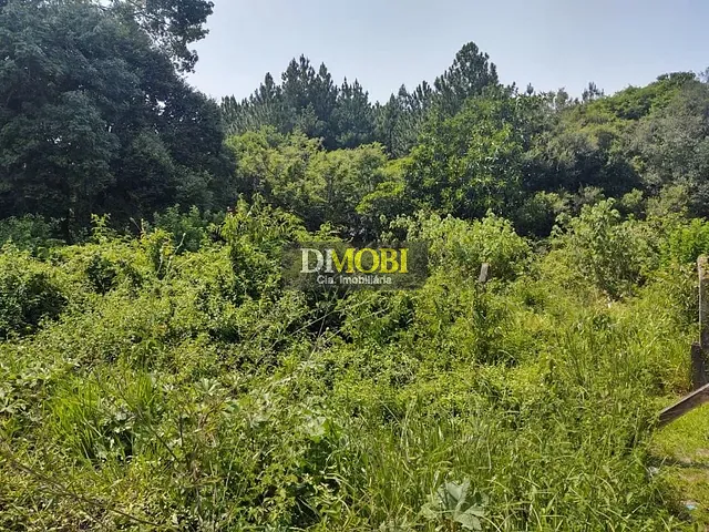 Terreno com 804m², à venda, no bairro Loteamento Rural Palermo em São Francisco de Paula