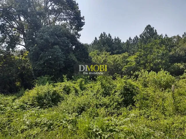 Terreno com 804m², à venda, no bairro Loteamento Rural Palermo em São Francisco de Paula