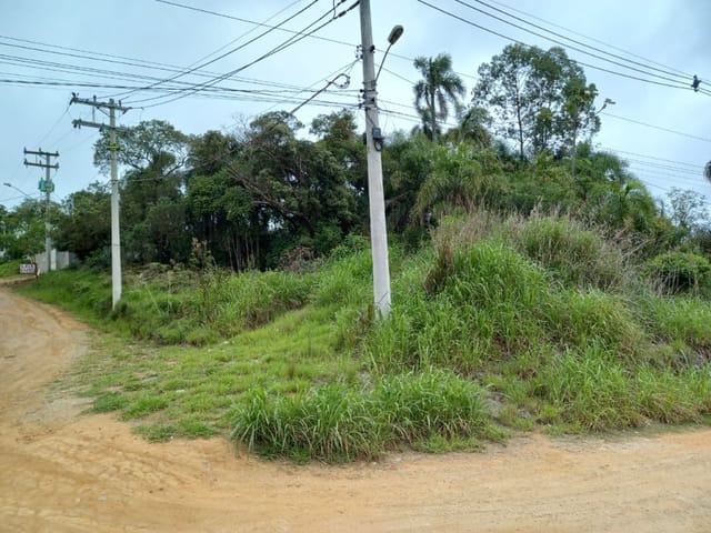 Terreno com 1247m², à venda, no bairro Água Espraiada em Cotia