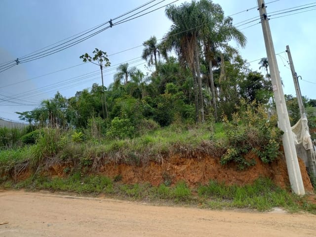 Terreno com 1247m², à venda, no bairro Água Espraiada em Cotia