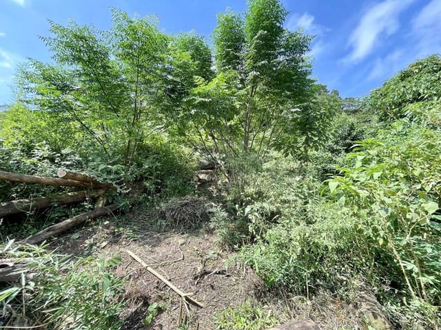 Terreno com 907m², à venda, no bairro Vila Santo Antônio em Cotia