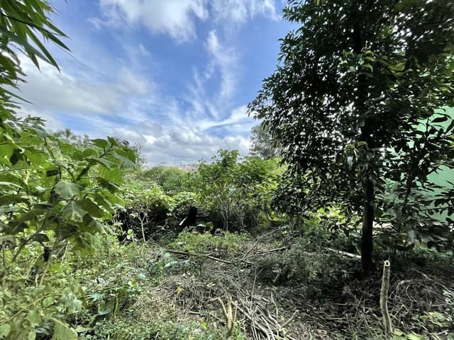Terreno com 907m², à venda, no bairro Vila Santo Antônio em Cotia