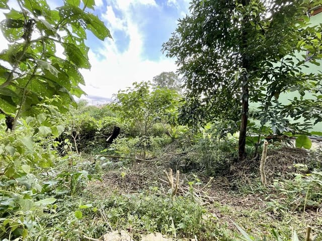 Terreno com 907m², à venda, no bairro Vila Santo Antônio em Cotia