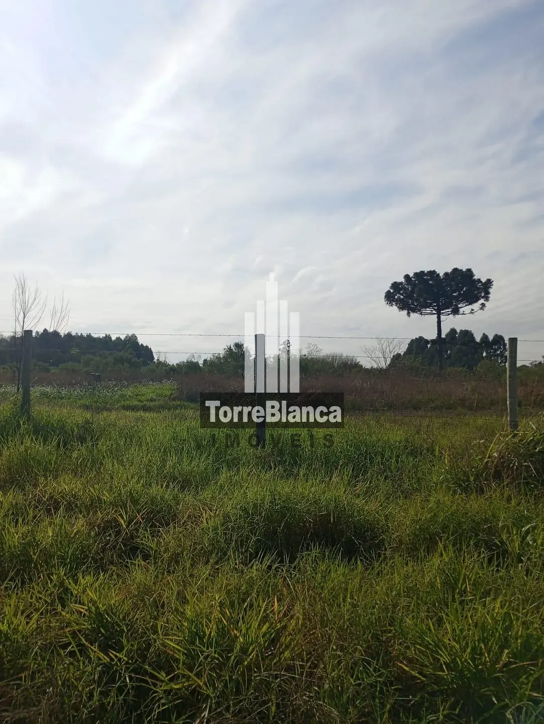 Terreno, 360 m² - Foto 1