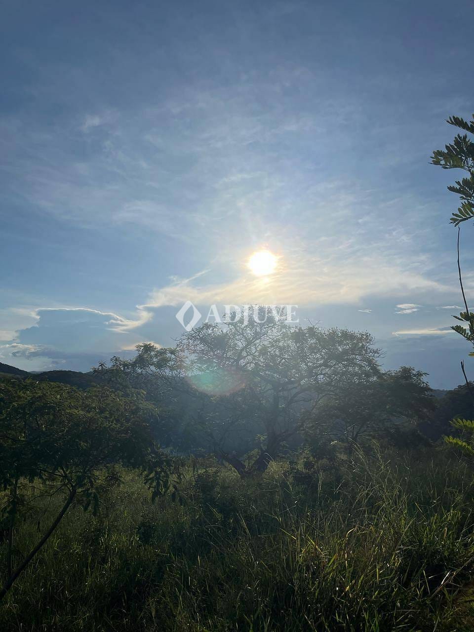 Terreno à venda, 1786m² - Foto 4
