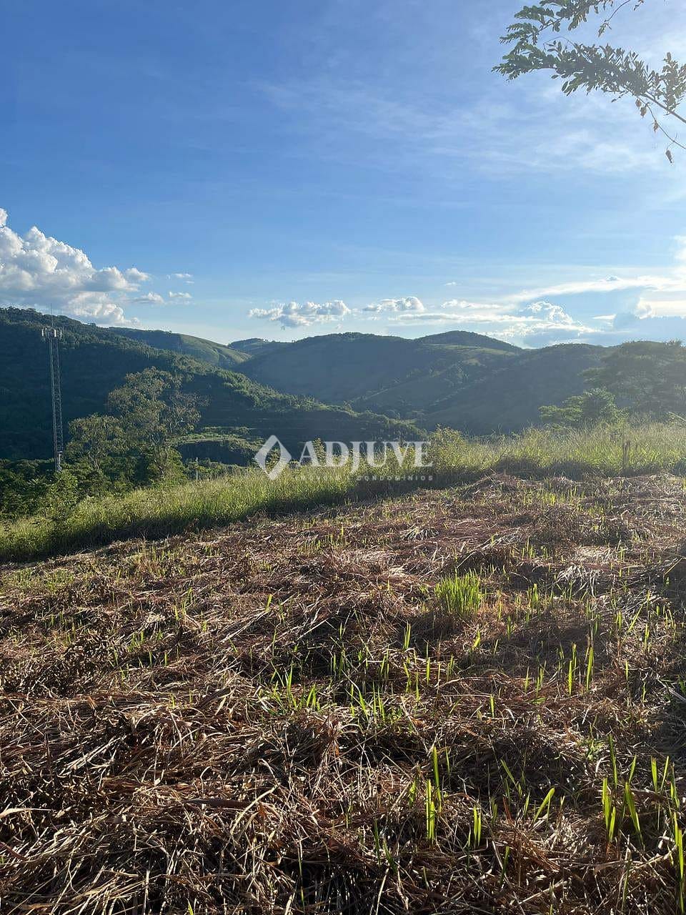 Terreno à venda, 1786m² - Foto 9