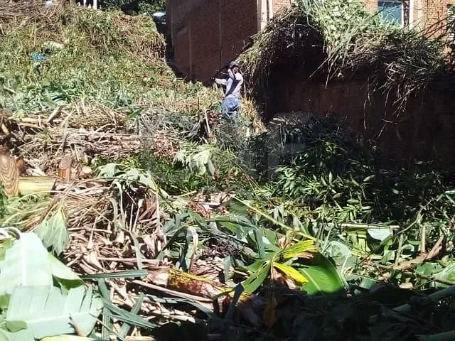 Terreno com 268m², à venda, no bairro Vila Carminha em Campinas