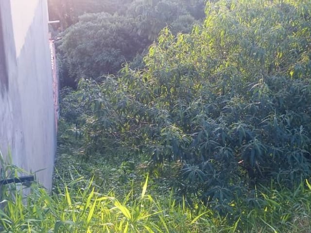 Terreno com 460m², à venda, no bairro Outeiro de Passárgada em Cotia