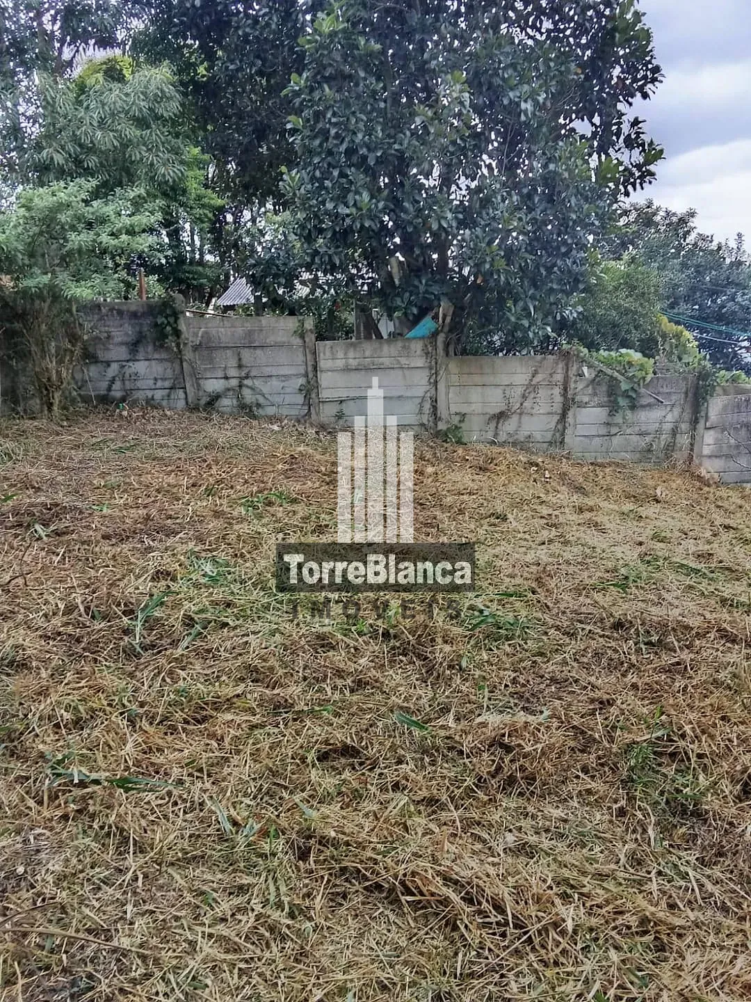 Terreno, 490 m² - Foto 3
