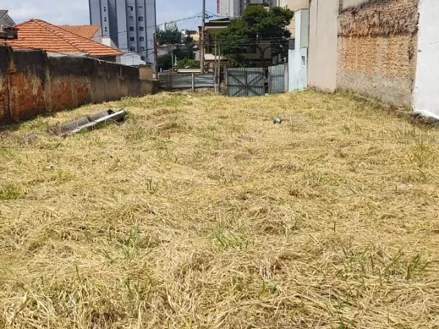 Terreno com 500m², à venda ou para alugar, no bairro Santa Maria em São Caetano do Sul