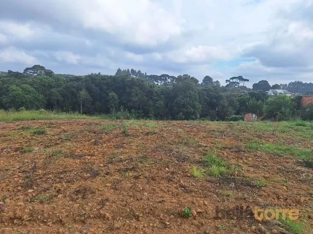 Terreno à venda, no bairro Vila Brasila em Mandirituba