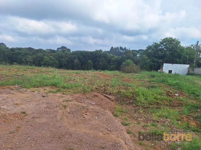 Terreno à venda, no bairro Vila Brasila em Mandirituba