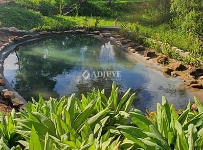 Terreno à venda, 5708m² - Foto 3