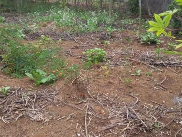 Foto do Terreno - Terreno à venda, 276 m² por R$ 500.000,00 - Bosque dos Eucaliptos - São José dos Campos/SP | INDEPENDENCE NEGOCIOS IMOBILIARIOS LTDA