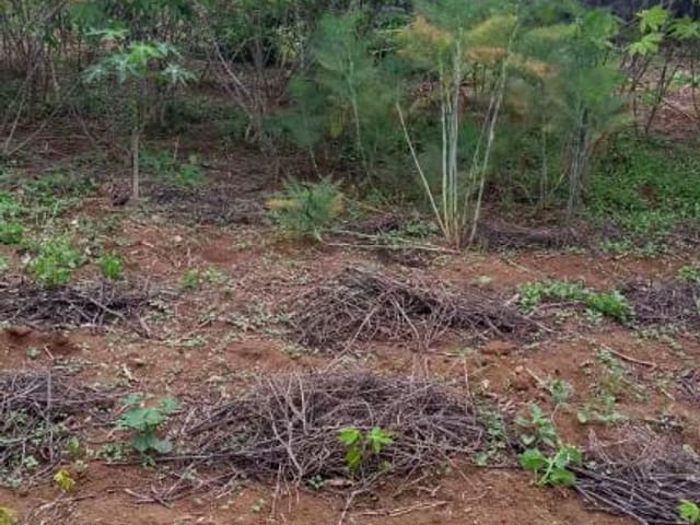 Foto do Terreno - Terreno à venda, 276 m² por R$ 500.000,00 - Bosque dos Eucaliptos - São José dos Campos/SP | INDEPENDENCE NEGOCIOS IMOBILIARIOS LTDA