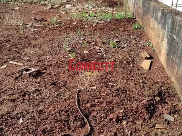 Terreno com 452m², à venda, no bairro Jardim Champagnat em Brodowski