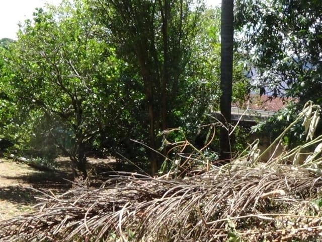 Foto do Terreno - Terreno à venda 600M², Atibaia Belvedere, Atibaia - SP | ZONA LESTE IMÓVEIS