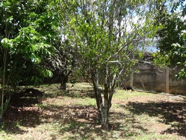 Foto do Terreno - Terreno à venda 600M², Atibaia Belvedere, Atibaia - SP | ZONA LESTE IMÓVEIS