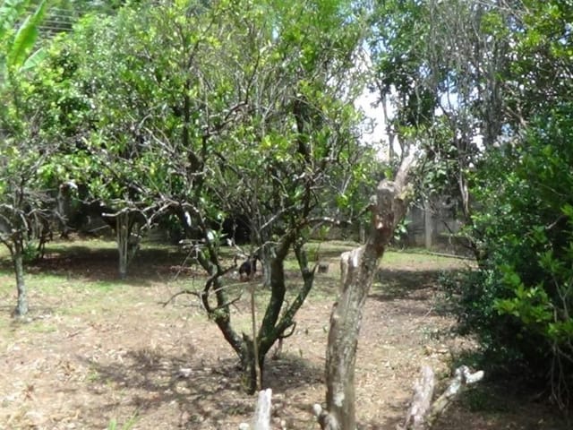 Foto do Terreno - Terreno à venda 600M², Atibaia Belvedere, Atibaia - SP | ZONA LESTE IMÓVEIS