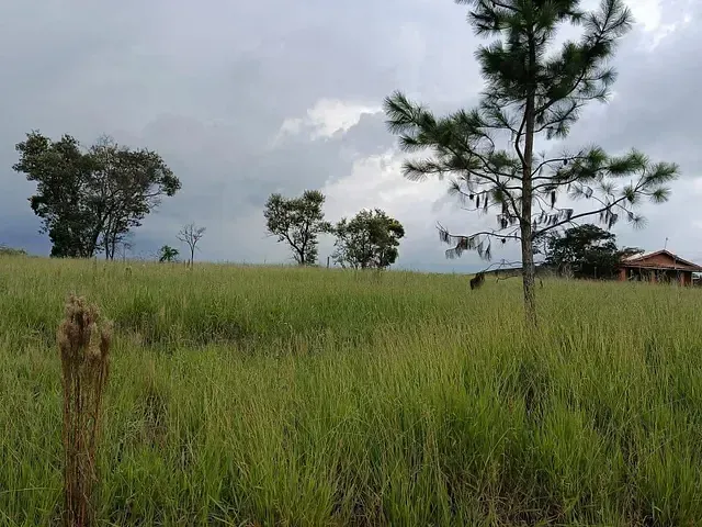 Terreno com 1200m², à venda, no bairro Haras Santa Rosa em Ibiúna